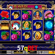 57qbet Salvador - Bonus Stats